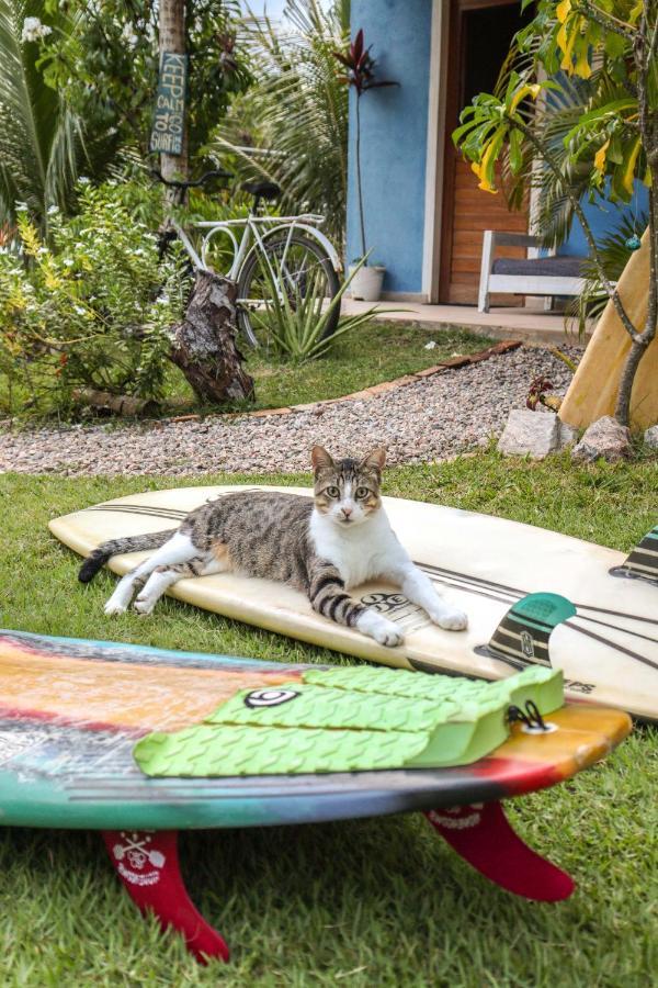Back To The Beach Hostel - Pipa Praia de Pipa エクステリア 写真
